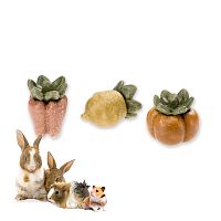 Овощи VEGGIE BITES для грызунов, съедобные